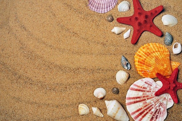 砂浜に並べた色とりどりの貝殻