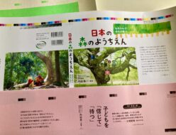 日本の森の幼稚園色校